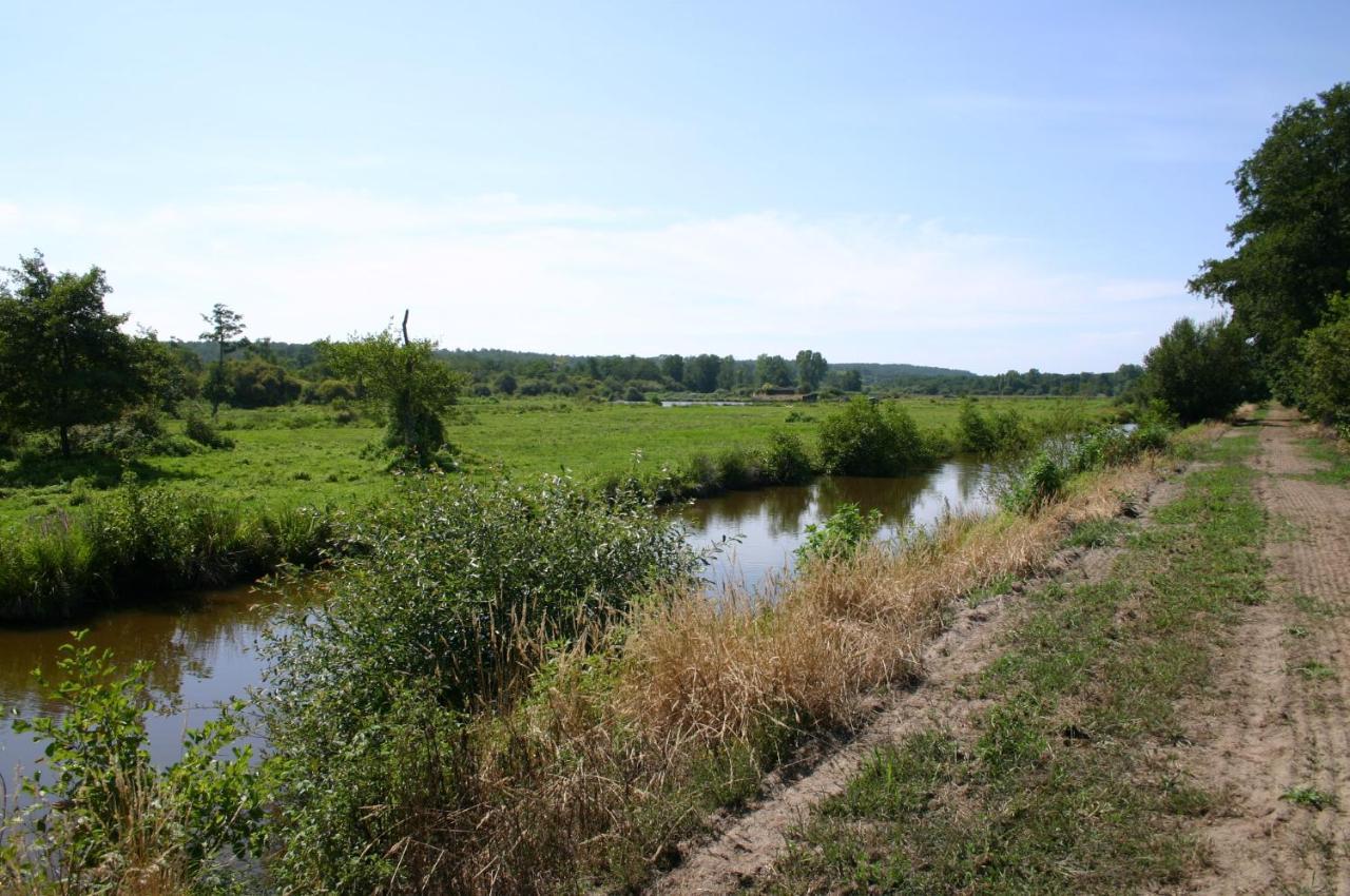 Gite 4Kms Plage Grand Domaine Prive Lacs Natura 2000 Lit-et-Mixe Exterior photo